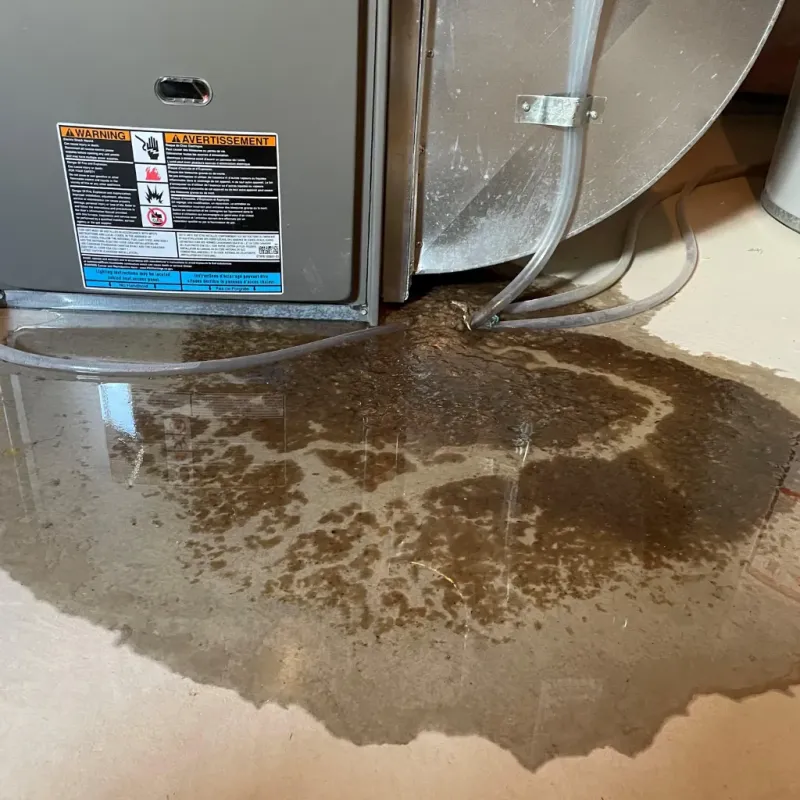 Appliance Leak Cleanup in Honalo, HI