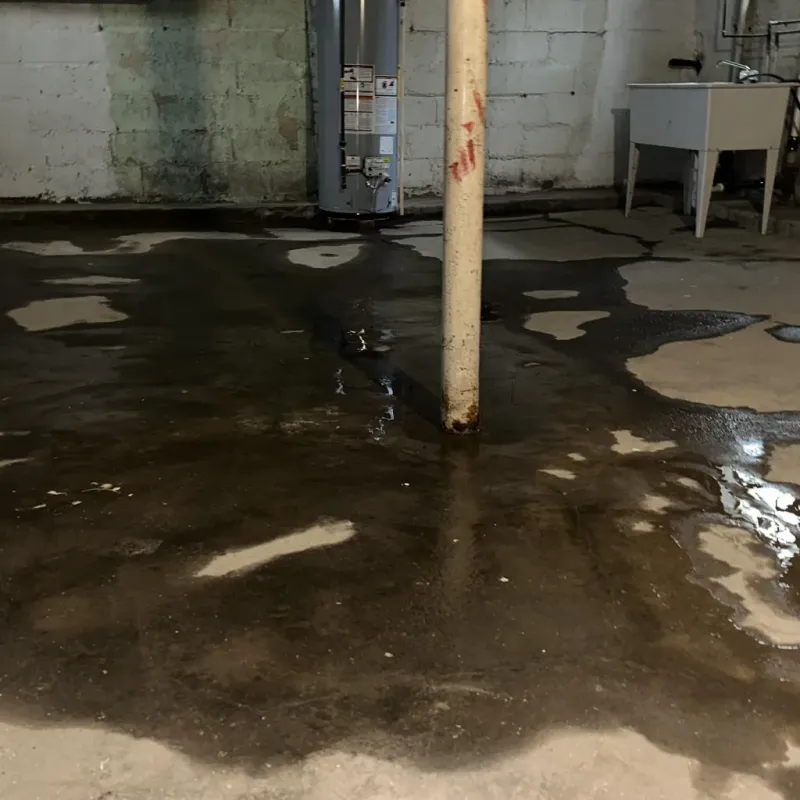 Emergency Water Extraction And Removal in Honalo, HI